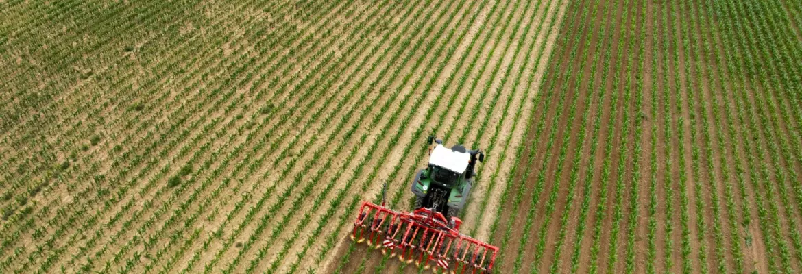 A green tractor with white cab pulls Kuhn's row crop cultivator Rowliner across rows of young green crops in a large agricultural field, viewed from above.