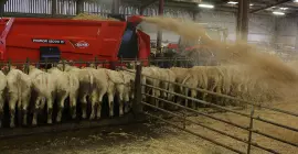 PRIMOR 15070 M durante el trabajo