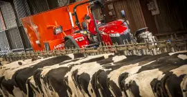 PROFILE 2 CS at work