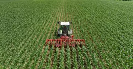 The ROWLINER row-crop cultivator at work in a field
