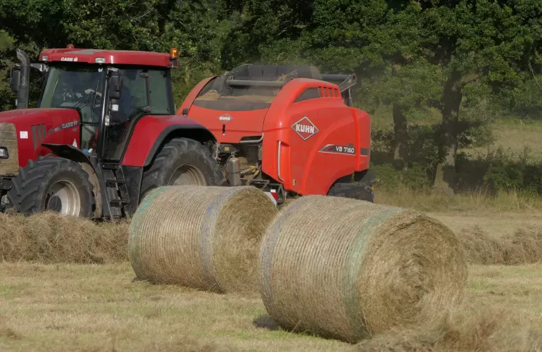 dave johnson vb7160