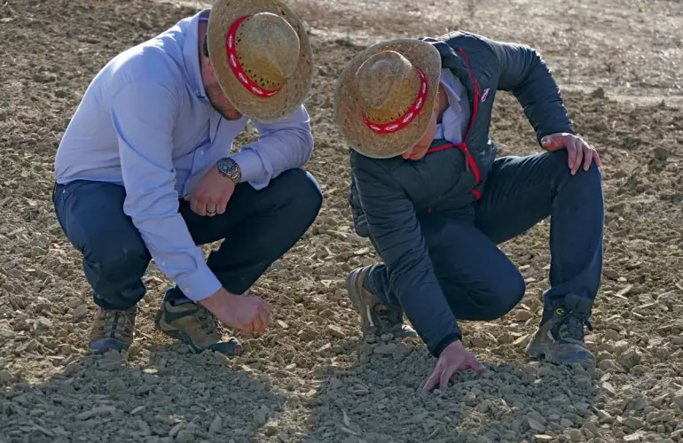 soil testing by two individuals after direct drilling 