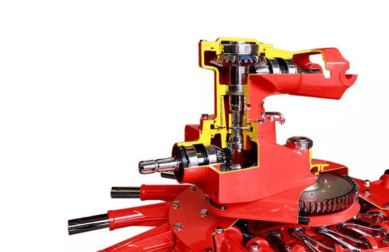 Photo illustrant une pièce d'entraînement avec une résistance fiable MASTER DRIVE