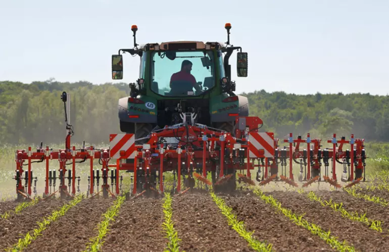 A green tractor pulls a row crop cultivator Rowliner across a field with emerging green crop rows, working the soil between planted rows in a rural agricultural setting