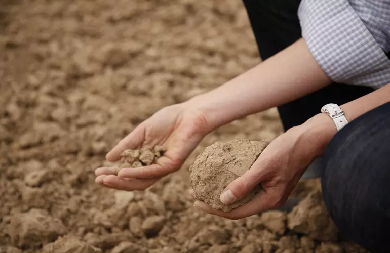 a clump of dry, crumbly soil in hands against a backdrop of a soil field