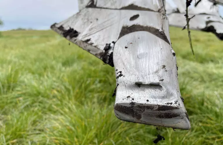 Test under real conditions in the field