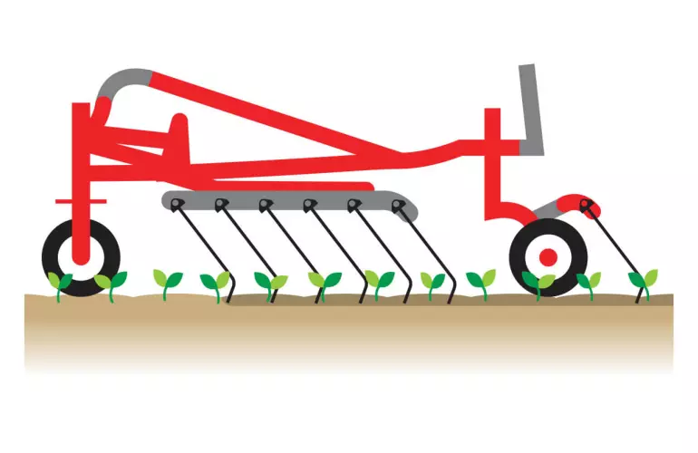 tine weeding benefit with pass in growing season