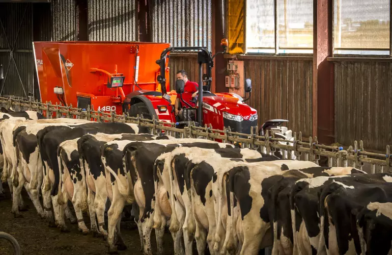 PROFILE 2 CS at work