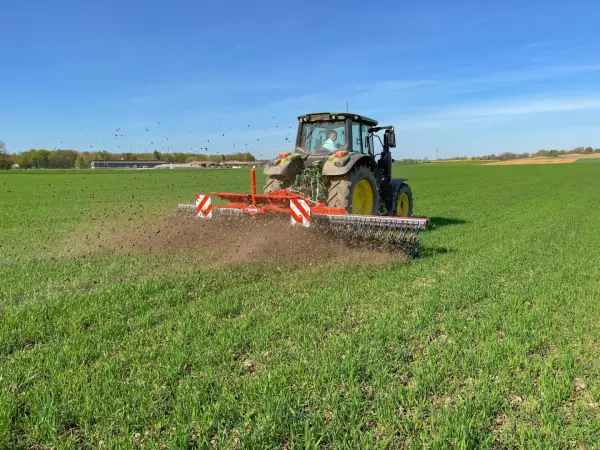 A tractor pulls red Kuhn rotary hoe Starliner across a green field, tilling soil in strips. The scene shows agricultural work under a clear blue sky with birds visible overhead.