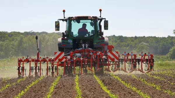 A green tractor pulls a row crop cultivator Rowliner across a field with emerging green crop rows, working the soil between planted rows in a rural agricultural setting
