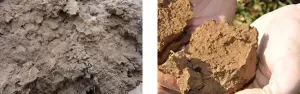 comparison of soil compaction between moderate and severe levels