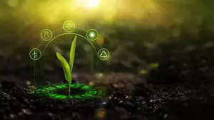 cover crops according to objectives