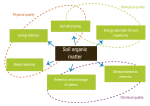 diagram showing the relationship between soil organic matter and various factors affecting soil quality