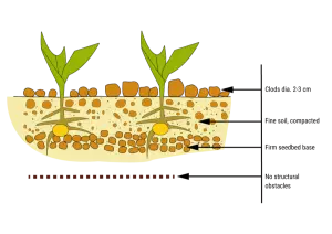 view of seedbed with different layers