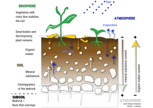 Soil Composition and Processes in the Biosphere and Lithosphere and with atmosphere