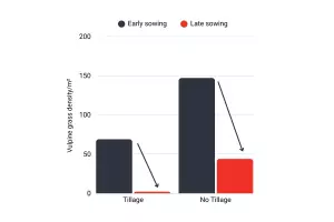 effect of sowing date on vulpine