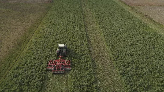 stubble cultivator working in field after the end of winter