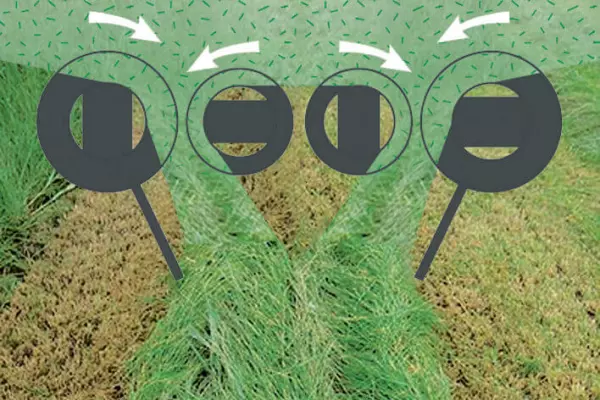 The uneven sized diameter knife plates create a clean swath formation.