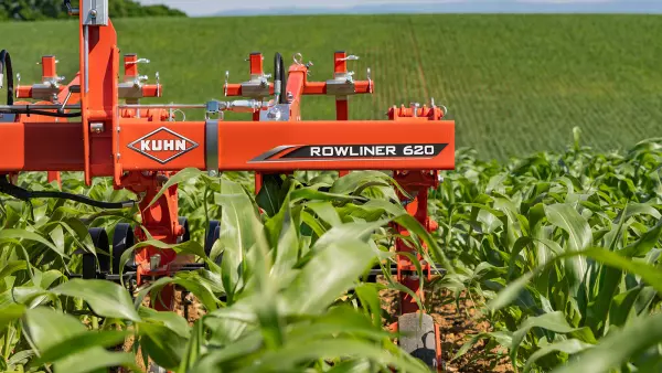 Photo of the ROWLINER row-crop cultivator in maize at the 9-leaf stage