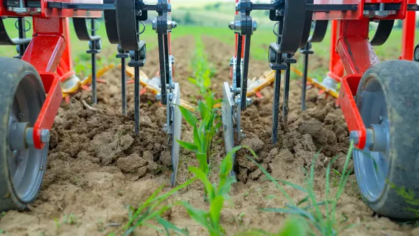 Photo of the ROWLINER row-crop cultivator's deflectors
