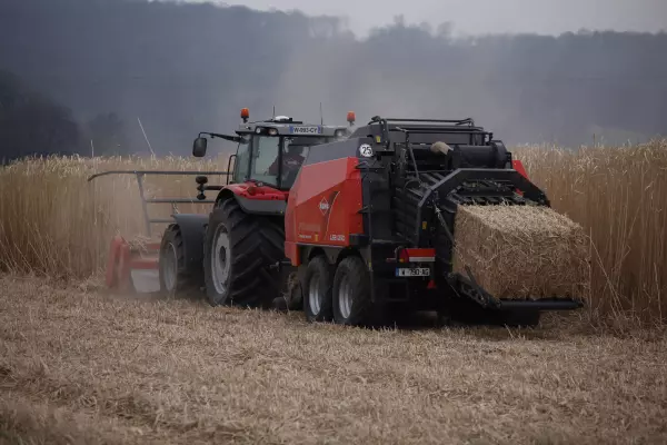 Harvest of miscanthus or energy crops with the WS 320 BIO shredder combining three operations in a single passage.