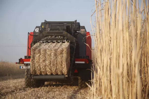 Coarse shredding of residues by the WS 320 BIO shredder facilitates the swathing and baling of energy crops
