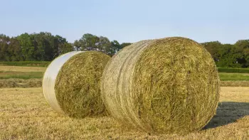 Round bales with net biding and film binding