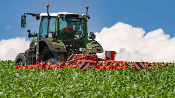 Photo of the ROWLINER row-crop cultivator in maize, at the 9-leaf stage