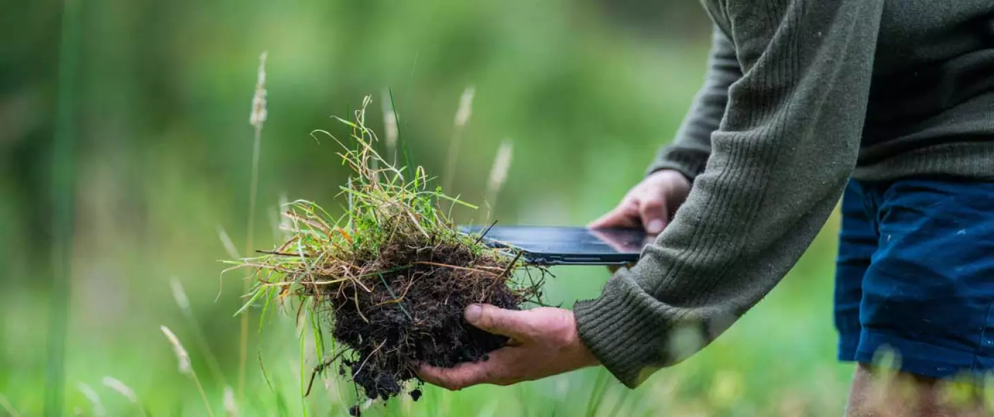 visual evaluation soil structure