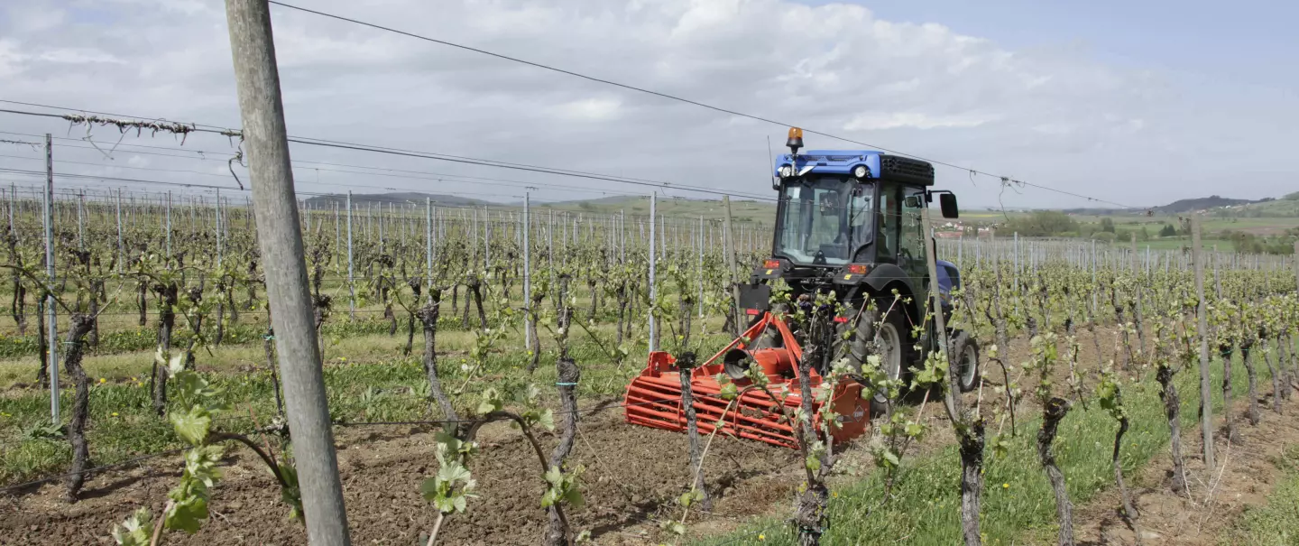 HRB 152 power harrow at work in vineyards