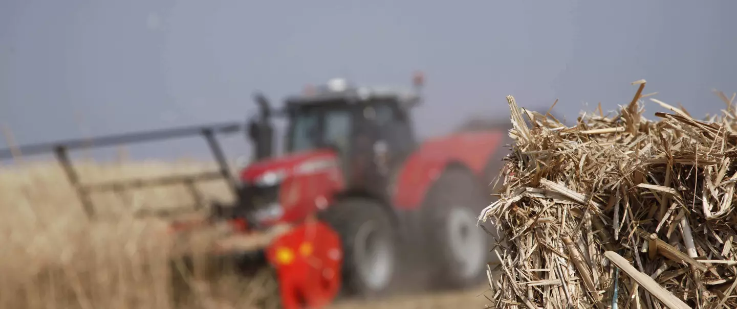 Harvest of miscanthus or energy crops with the WS 320 BIO shredder and its numerous benefits.