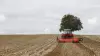 BC 4000 Crop Shredder at work