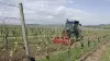 HRB 152 power harrow at work in vineyards